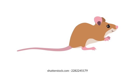 Animal illustration. Sitting mouse drawn in a flat style. Isolated objects on a white background. Vector 10 EPS