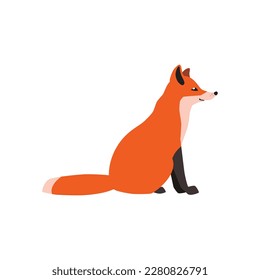 Animal illustration. Sitting red fox drawn in a flat style. Isolated objects on a white background. Vector 10 EPS