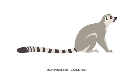 Animal illustration. Sitting ring tailed lemur drawn in a flat style. Isolated objects on a white background. Vector 10 EPS