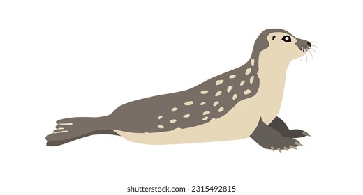 Animal illustration. Sitting seal drawn in a flat style. Isolated object on a white background. Vector 10 EPS