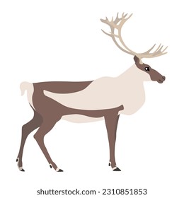 Animal illustration. Standing caribou in a flat style. Isolated object on a white background. Vector 10 EPS