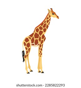 Animal illustration. Standing giraffe drawn in a flat style. Isolated object on a white background. Vector 10 EPS