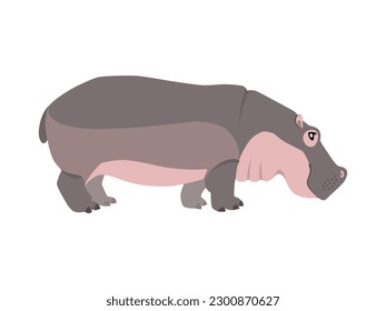 Animal illustration. Standing hippo drawn in a flat style. Isolated object on a white background. Vector 10 EPS