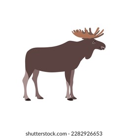 Animal illustration. Standing moose drawn in a flat style. Isolated object on a white background. Vector 10 EPS