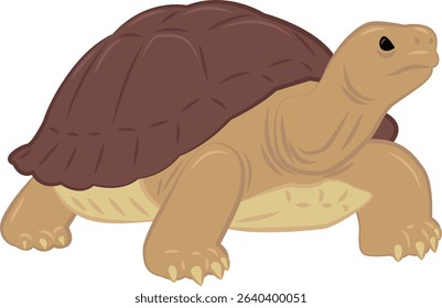 Animal illustration, a turtle, dark brown shell, light brown body, cartoon character, simple vector, mascot