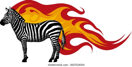 Animal illustration of vector zebra with flames
