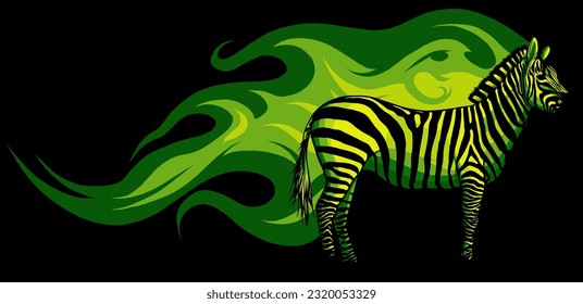 Animal illustration of vector zebra with flames on black background