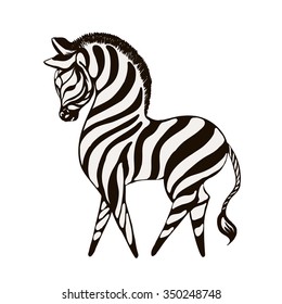 Animal illustration of vector zebra silhouette