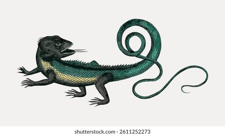 animal; illustration; vintage; color; colour; vintage illustrations; collage elements; cartoon; drawing; nature; sketch; vector; snake; art; downloadable; design element; element; graphic; lizard; pho