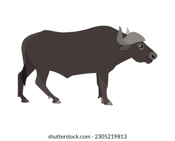 Animal illustration. Walking buffalo drawn in a flat style. Isolated object on a white background. Vector 10 EPS