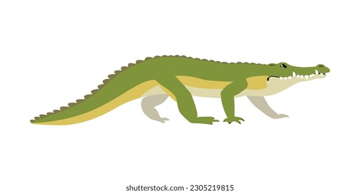 Animal illustration. Walking crocodile drawn in a flat style. Isolated object on a white background. Vector 10 EPS