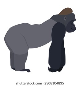 Animal illustration. Walking gorilla drawn in a flat style. Isolated objects on a white background. Vector 10 EPS
