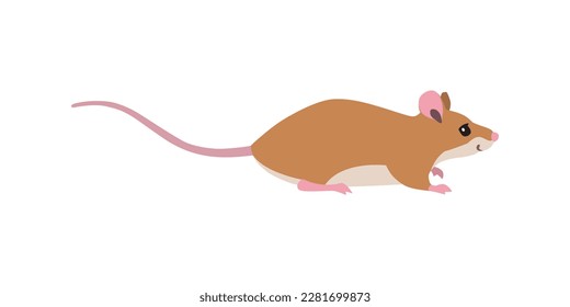 Ilustración animal. Sentando el ratón dibujado en un estilo plano. Objetos aislados sobre un fondo blanco. Vector 10 EPS