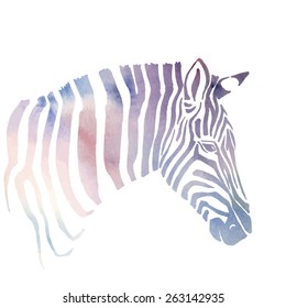 Animal illustration of watercolor zebra silhouette. Vector