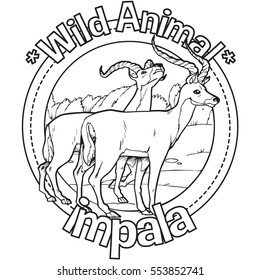 Animal Impala Coloring Book