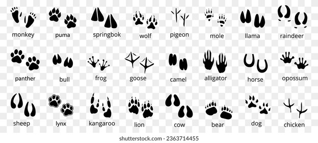 Animal imprint icons. Set of animal tracking footprints. Black animal and bird trace steps imprints silhouette