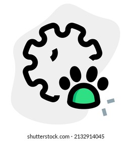 animal infected with a coronavirus causing the spread