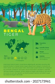 Animal Infografik Series - Bengal Tiger