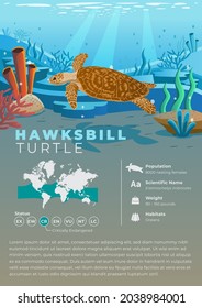 Animal Infographic Series    Hawksbill Turtle
