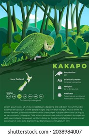 Animal Infographic Series - Kakapo