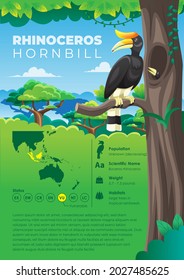 Animal Infographic Series - Rhinoceros Hornbill