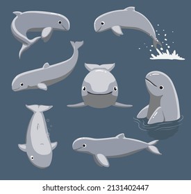 Animal Irrawaddy Dolphin Poses Cartoon Vektor Cute