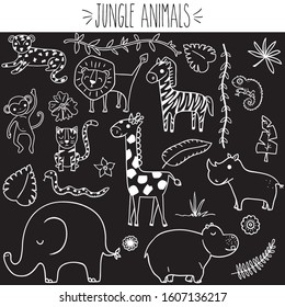 Animal Jungle, White Outline, freehand, tiger, leopard, lion, monkey, chimpanzee, giraffe, Doodles, elephant, hippo, rhino, jaguar, snake, lizard, gecko, tropical leafs, vines, flowers, cute, nursery