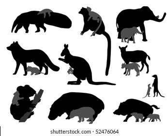 animal kids