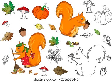 animal, kindergarten, school, coloring book, autumn, hello autumn, squirrel, landscape wallpaper, pattern, pattern, illustration, design, art, autumn, element, decoration, draw, trees, set, texture, s