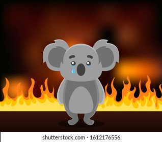animal koala on fire. sad koala crying, burning forest of Australia. environmental issues of planet Earth
