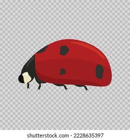 Animal Ladybug double player 2