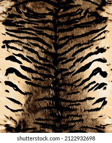 Animal leather print close up pattern, tiger fur skin seamless design