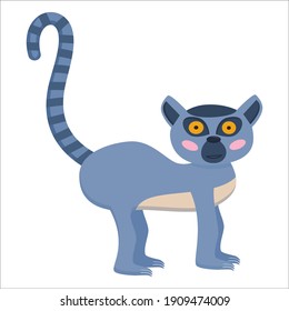 An animal lemur with large eyes stands with a striped tail up isolated on a white background. An animal from Madagascar. Vector illustration for children.