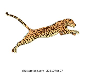 El leopardo animal saltando. Predador africano, jaguar, chita al estilo de las caricaturas. Ilustración vectorial aislada en fondo blanco.