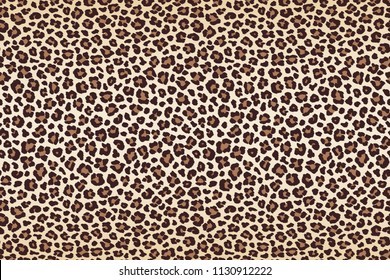 Animal leopard spots fur, horizontal texture. Vector