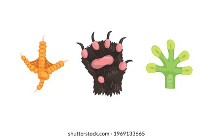 Animal Limb with Cat Clawed Paw and Lizard Foot Vector Set