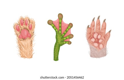 Animal Limb with Primate Hairy Paw and Cat Foot Vector Set