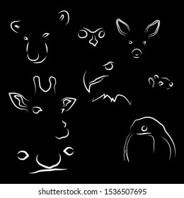 Animal line gravure in modern style on black background. Vector isolated illustration. Outline symbol collection. Symbol, logo illustration. Animals faces engraving. Creative logo for any purposes