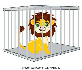 Animal lion in iron hutch on white background is insulated
