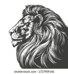 animal lion  king
