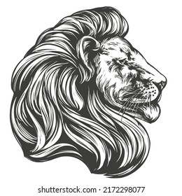 león animal, rey de las bestias, dibujo manual de ilustraciones vectoriales, esbozo realista