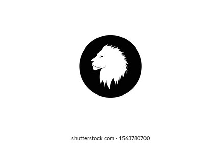 animal lion vector icon logo