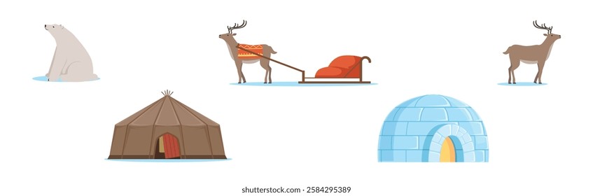 Animal Living in the Arctic and North Pole Vector Set