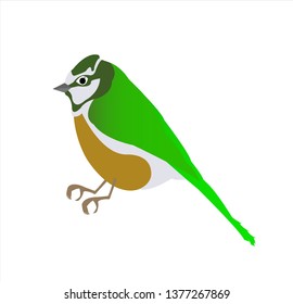 animal logo of canary bird vector with small exotic beak and silhouette of tropical pigeon