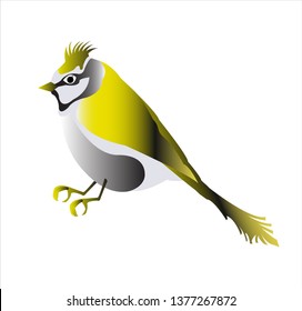 animal logo of canary bird vector with small exotic beak and silhouette of tropical pigeon