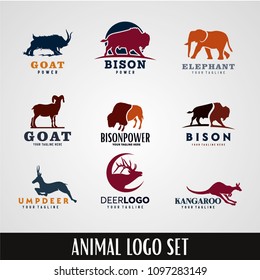 Animal Logo Designs Template Set