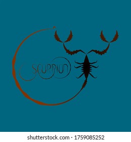 Animal Logo with Scorpion Illustration Forming the Letter "Y ". Scorpion Vector Logo.