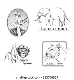 Animal Logo Symbol For Your Design with lioness, monkey, ostrich, elephant