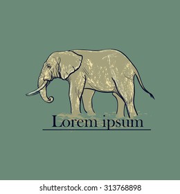 Animal  Logo Symbol For Your Design with elephant