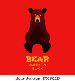 Animal logo template, baby bear icon and text. Vector illustration